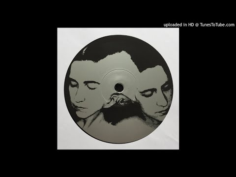 Terre Thaemlitz & Scanner - Terre loves Robin