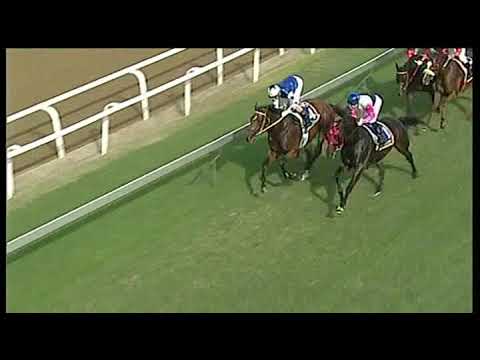 20190324 Express clip Greyville Race 6 won by THE SULTANS BAZAAR