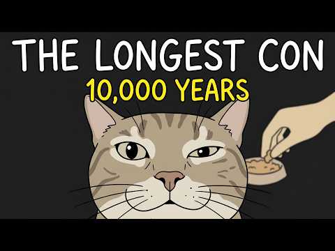 What Was Life Like For Ancient Cats?