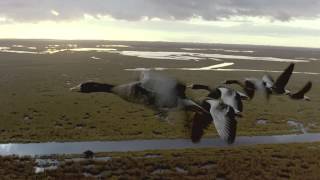 Nómadas del viento Trailer