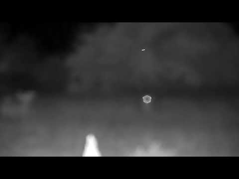 Djuma: Waterbuck bull resting - 03:32 - 10/25/2022