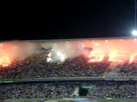 Caior96’s Video 17391661993 967ryG1b4bM