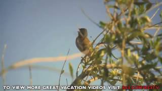 Greece Vacations - Village Heights Golf Resort