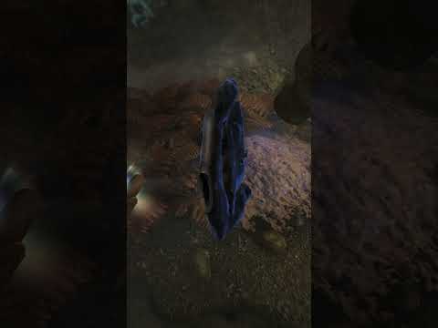 The TRUTH about Skyrim's necromancers | Skyrim Gameplay Highlights