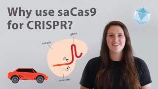 How a mini CRISPR Cas9 system is revolutionizing gene therapy!