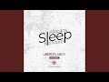 Africans Sleep No More (feat. Lionsounds)