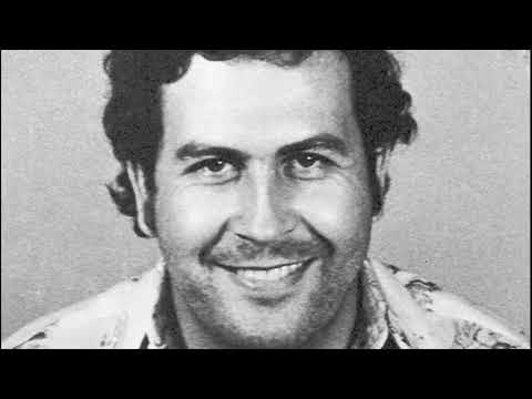 Bambo the Smuggler - Plata o Plomo @Šupreme & Cherry