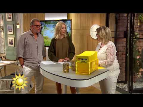 Räcker trissvinsten? "Barnen vill ha en häst" - Nyhetsmorgon (TV4)