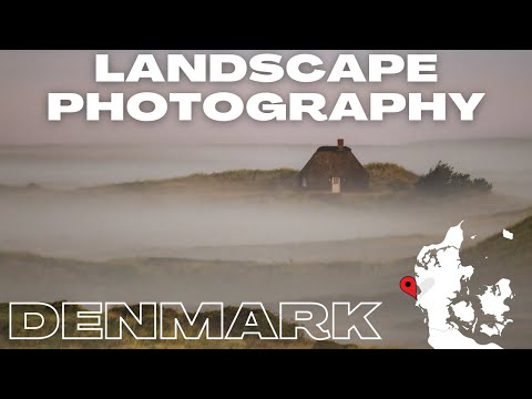 Landscape Photography │Foggy Autumn Days on the Danish West Coast │ 041 │OM-1