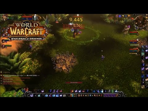 Uralte Beschützer - Guide - Normal ★ (Immergrüner Flor)