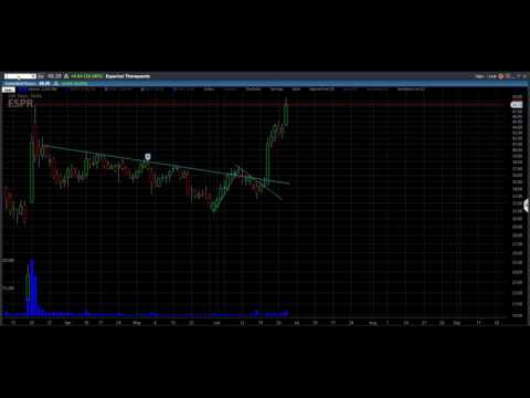 Stock Market Recap June 28, 2017; $ESPR $KIN
