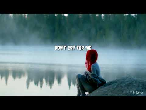 "Don't Cry For Me" - Alok, Martin Jensen & Jason Derulo (Lyrics)