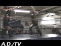 lestat highlight