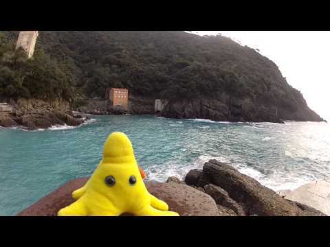 Ameba w San Fruttuoso