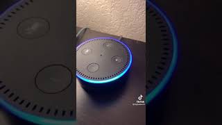 Hey Alexa i want you to fart for me [Tik Tok Video]