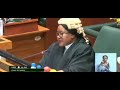 Upnd Mp For Dundumwezi Lying In Parliament And Mocking Pf
