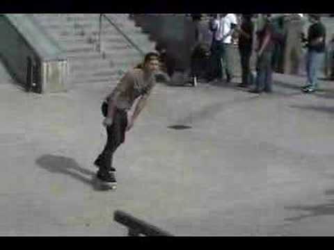 Andrew Reynolds Emerica Wild Ride 2007