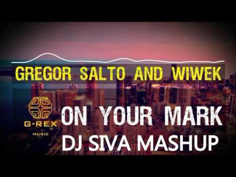Cry Just a LittleOne Your Mark DJ Siva Mashup