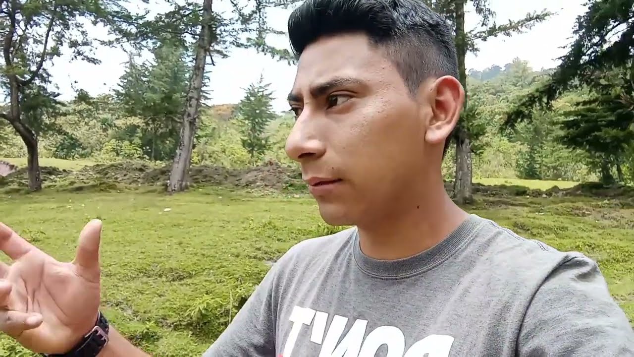 Mis cachorros Sabuesos finos para la cacería. consejo para los cazadores