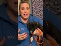 Puppy Crate Training At Night Do THIS To Get MORE Sleep