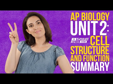 AP Biology Unit 2: Cell Structure and Function Summary