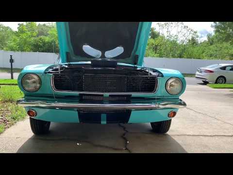 1966 Mustang 289 cold start and drive