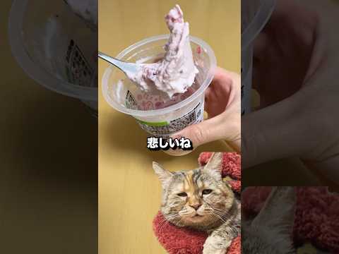 やらかした　#コンビニ #新商品 #セブンイレブン