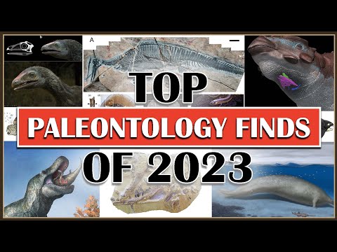 Top Paleontology Finds of 2023