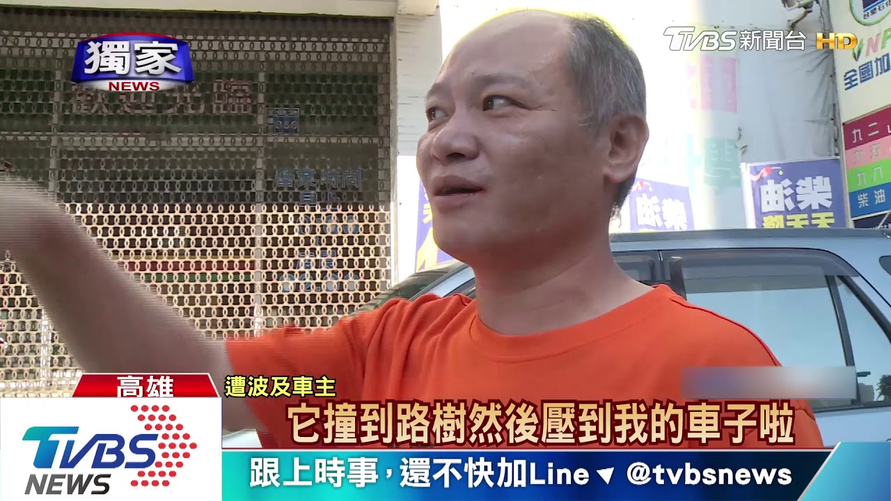 樹倒了！砸毀貨櫃車頂司機受傷　轎車也遭波及