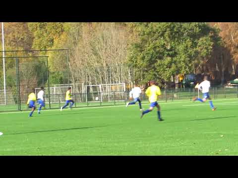 Blauw Geel JO15-1 - SDVB JO15-2