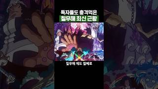 원피스) 독자들도 충격먹은 칠무해들 최신 근황