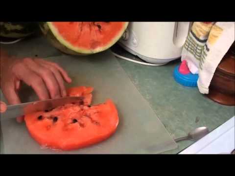 download lagu mp3 mp4 How To Freeze Watermelon, download lagu How To Freeze Watermelon gratis, unduh video klip How To Freeze Watermelon