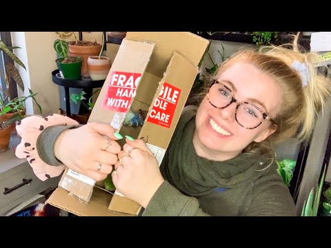 RARE Hoya House Plant Unboxing! I Spent $160 On One of the Rarest Hoyas and did NOT regret it!