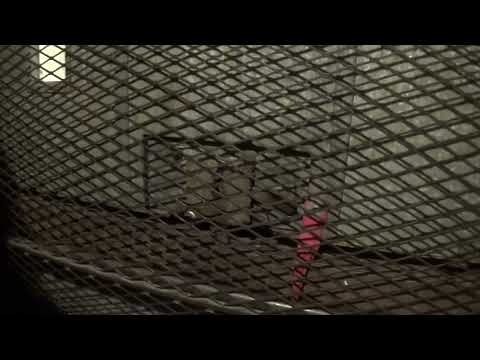 Westinghouse Traction Freight Elevator in Pittsburgh, PA