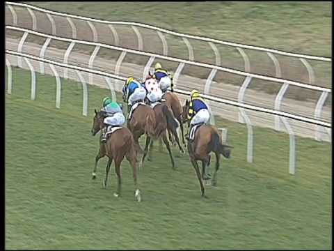 Galoppo 04/02/2017 - 1ª corsa