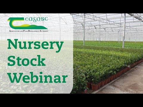 Teagasc Nursery Stock Webinar - Plant Health