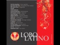 Lobo Latino-Hotel California 