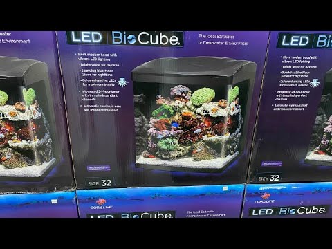WHAT IS A BIOCUBE? | BIOCUBE 101