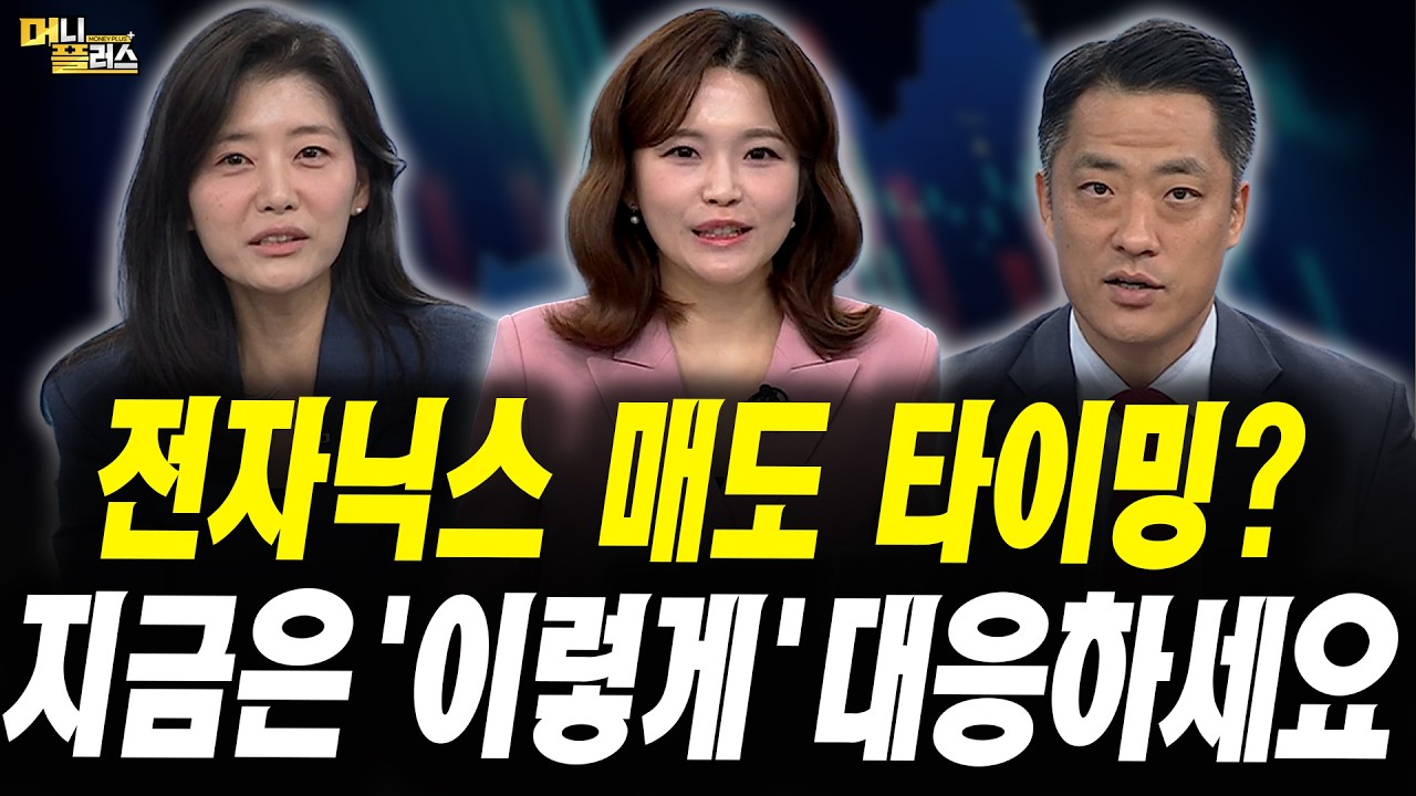 SK하이닉스 매도 타이밍? 지금은 '이렇게' 대응하세요  (한지숙 DS자산운용 ETF팀 부장, 황유현 신한투자증?