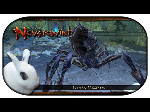 NEVERWINTER: Mod 24 🐇 10 - Abstieg in die Tiefen [Northdark Reaches]