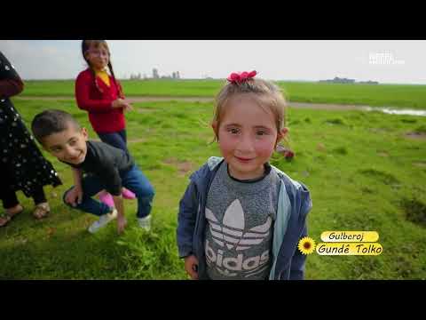 Gulberoj - Gundê Tolko