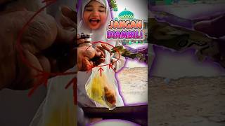 Download lagu Jangan Di ambil om!!😆 #ceritaeskepal #eskepalmilo #pedagangkeliling #jualandisekolah #jajanansekolah mp3