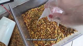 Vídeo de Tempero Chimi Churri Defumado