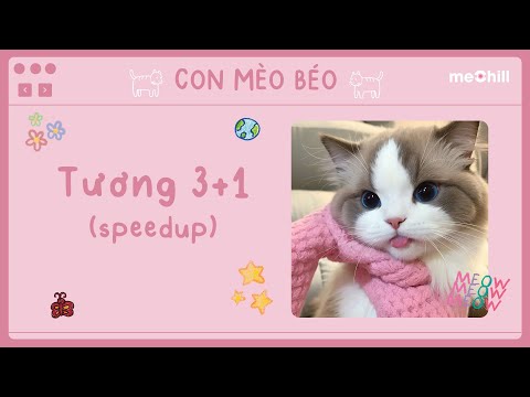 Tương 3+1 (Speed Up) - W/n x Titie x Nau x Con Mèo Béo