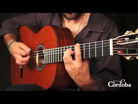 Cordoba C9 CD/MH - Solid Cedar Top, Solid Mahogany Back/Sides Classical Guitar - Natural image 4