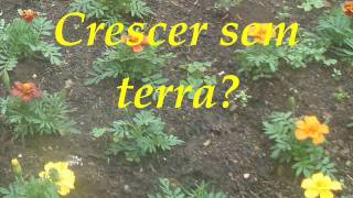 Vivir sin aire-Legendado EK@