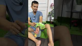 Alat pijat roller manual untuk relaksasi kaki,lengan,leher tubuh,mudah digunakan di rumah #AlatPijat