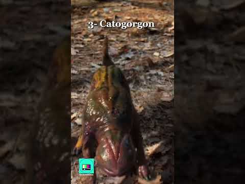 Stranger Things: The Demogorgon's Life Stages