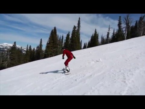 Spring 2016 - Celeste by Ezra Vine (Unofficial Music Video)