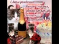 С ДНЕМ РОЖДЕНИЯ КОТИК МОЙ ВАСИЛИЙ!!! 